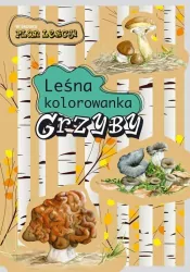 Grzyby. Leśna kolorowanka