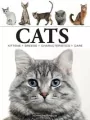 Cats - tantis.pl