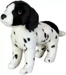 Pies angielski pointer 28cm