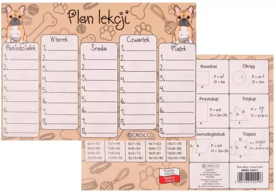 Plan lekcji A5 Buldog