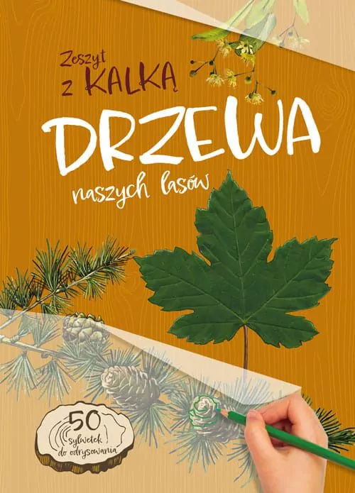 Drzewa naszych lasów. zeszyt z kalką - tantis.pl
