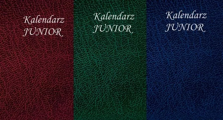 Kalendarz 2023 kieszonkowy Junior SK7 MIX - tantis.pl