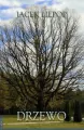 Drzewo - tantis.pl