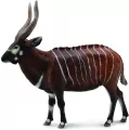 Antylopa Bongo XL - tantis.pl