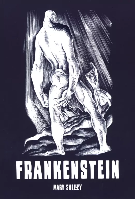 Frankenstein - tantis.pl