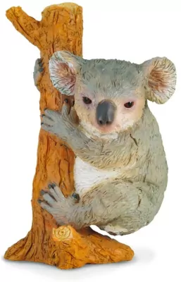 Miś koala wspinający się