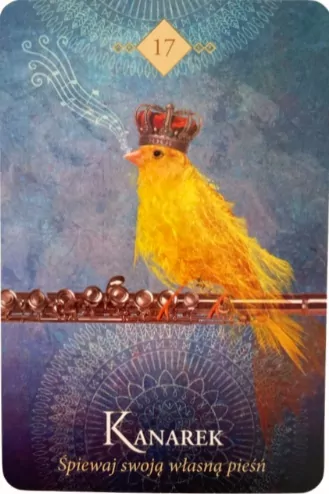 Wyrocznia duchowych zwierząt. Karty tarot - tantis.pl