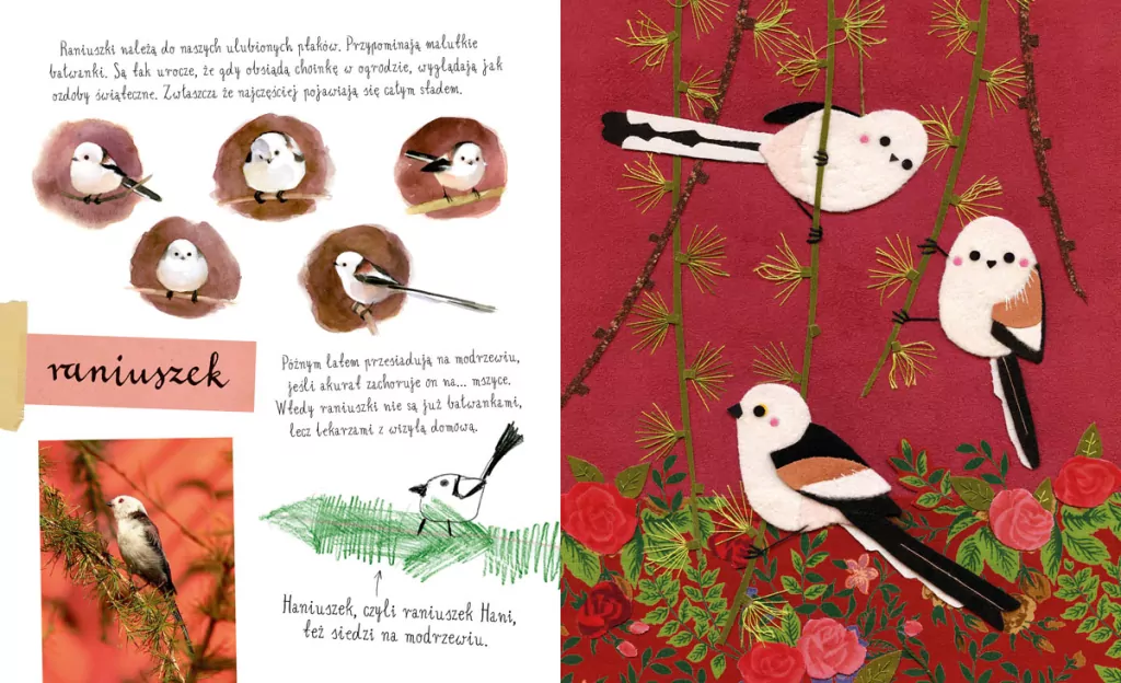 Mały atlas ptaków Ewy i Pawła Pawlaków - tantis.pl