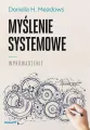 Myślenie systemowe. Wprowadzenie - tantis.pl
