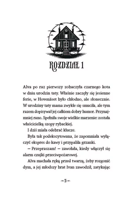 Tajemniczy kot - tantis.pl