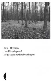 Las zbliża się powoli - tantis.pl