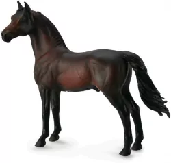 Ogier rasy Morgan gniady