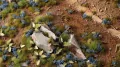 Gamers Grass: Cornflower Tiny Flowers - tantis.pl