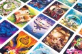 Dixit Disney - tantis.pl