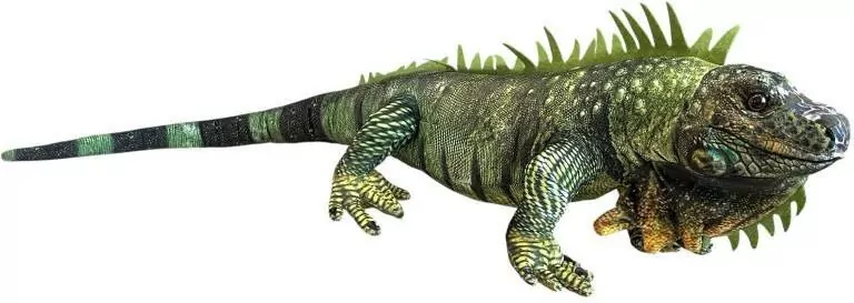 Legwan 85cm - tantis.pl