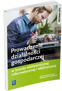 Prowadzenie działalności gospodarczej w branży elektronicznej, informatycznej i elektrycznej - tantis.pl