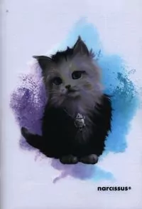 Zeszyt A4 32k. linia cienka kolorowa PP JOY 1szt.mix - tantis.pl