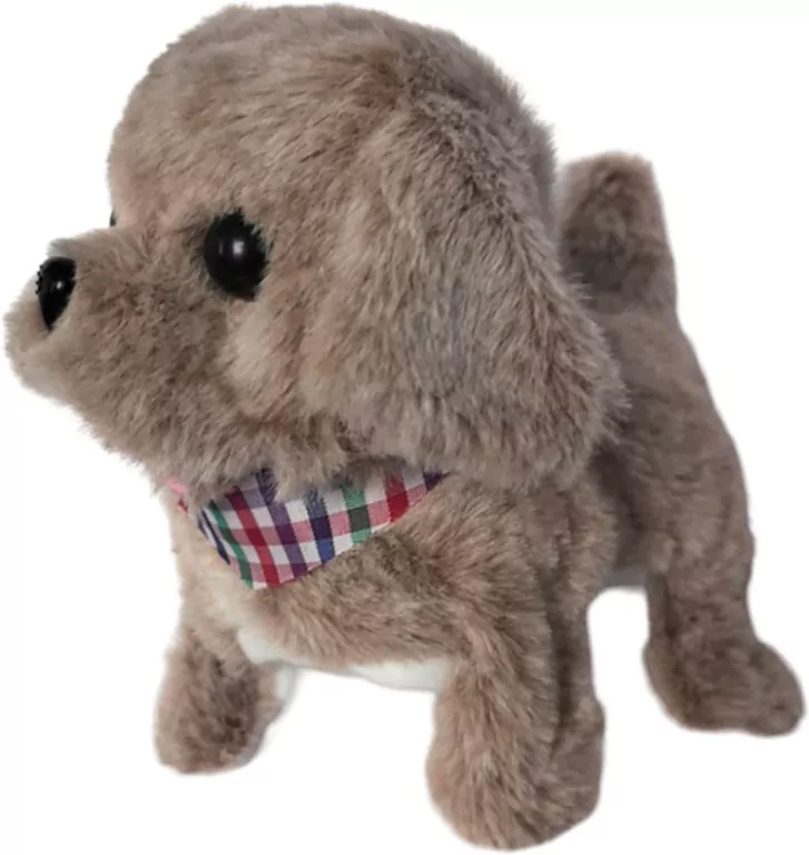 Twój pupilek piesek - tantis.pl