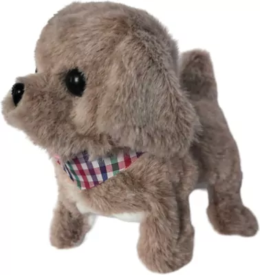 Twój pupilek piesek