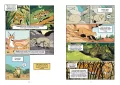Koty. Natura i wychowanie. Naukomiks - tantis.pl