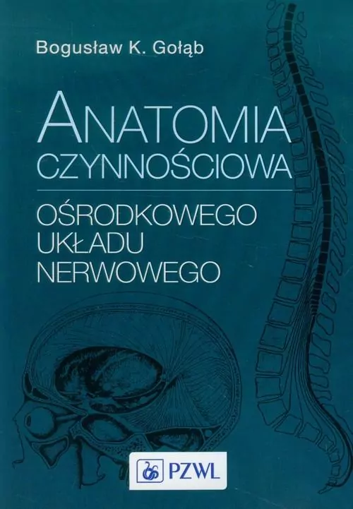 Anatomia czynnościowa ośrodkowego układu nerwowego - tantis.pl