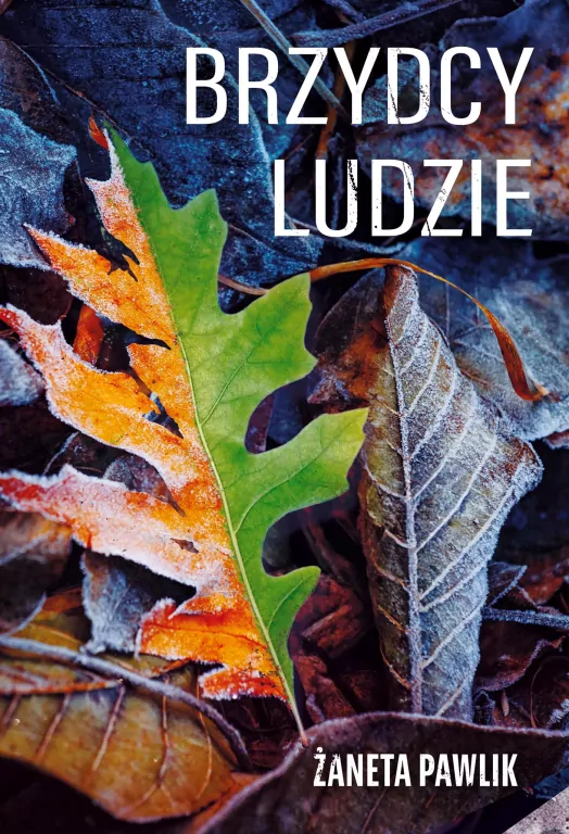 Brzydcy ludzie - tantis.pl
