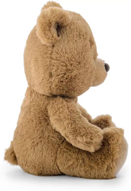Miś miodowy 22cm - tantis.pl