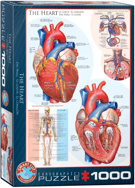 Puzzle 1000. The Heart 6000-0257 - tantis.pl