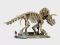 LEGO® Szkielety dinozaurów: triceratops 77985 - tantis.pl