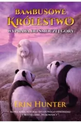 Bambusowe Królestwo. Wyprawa do Smoczej Góry. Tom 3