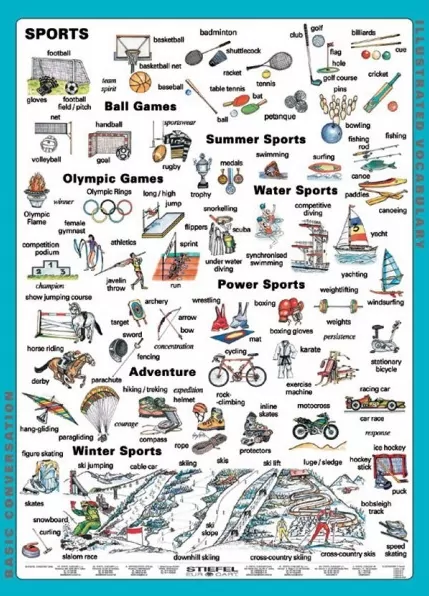 Plansza edukacyjna. Sport. Angielski - tantis.pl