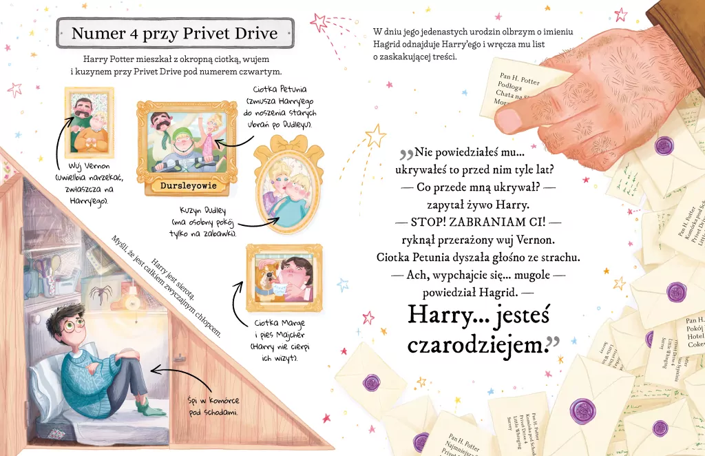 Harry Potter. Mały potterownik. Przewodnik po serii Harry Potter - tantis.pl
