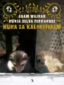 Kuna za kaloryferem - tantis.pl