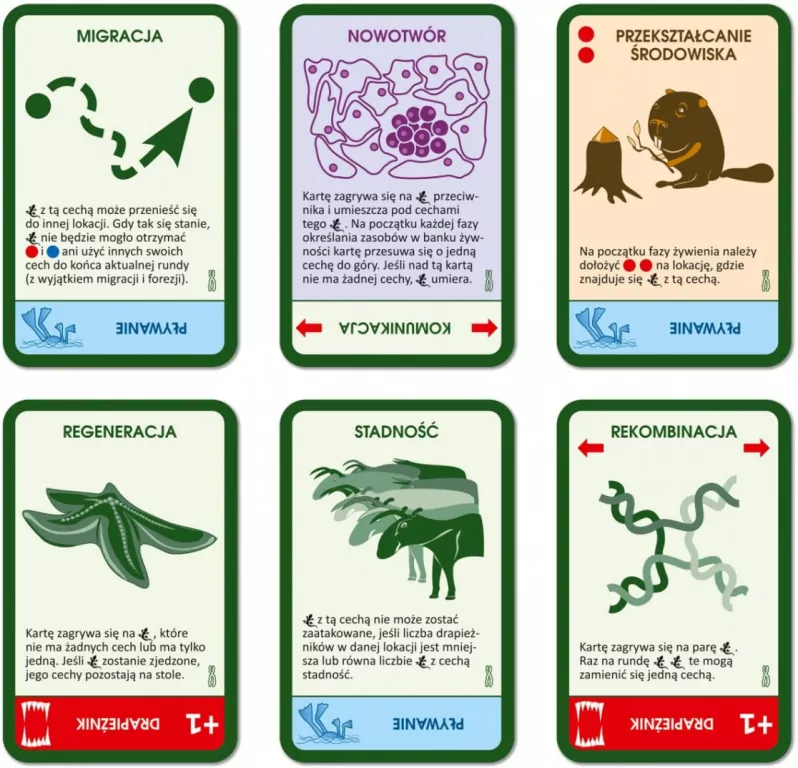 Gra Ewolucja dodatek - tantis.pl