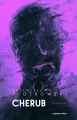 Cherub. Igor Brudny. Tom 3 - tantis.pl