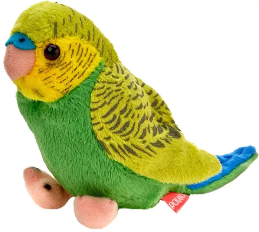 Maskotka. Papuga falista, zielono-niebieska 13 cm - tantis.pl