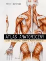 Atlas anatomiczny. Ciało człowieka: budowa i funkcjonowanie - tantis.pl