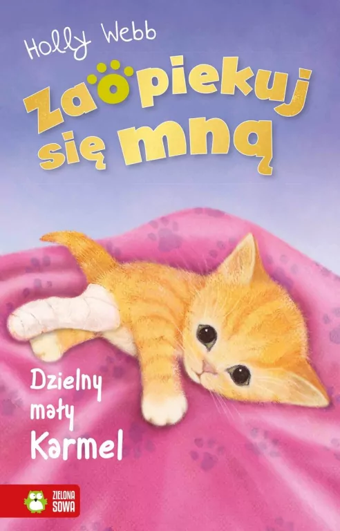 Dzielny mały Karmel. Zaopiekuj się mną - tantis.pl