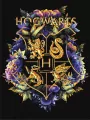 Malowanie po numerach -Herb Hogwartu metal 3040cm - tantis.pl