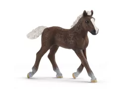 Źrebię rasy szwarcwaldzkiej Farm World 13899