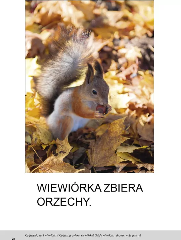 Jesień. Bardzo proste czytanki dla dzieci - tantis.pl