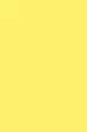 PAPIER XERO KOL A4 80G ZOL SUN OP100ARK NETU - tantis.pl