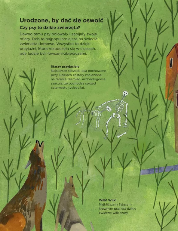 Dlaczego psy się obwąchują? - tantis.pl