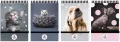 Kołonotes A6/96K kratka na gumkę The Sweet Pets - tantis.pl