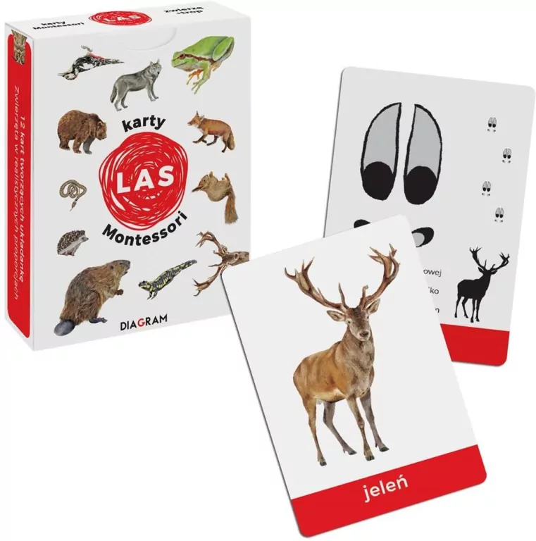 Karty Montessori. Las - tantis.pl