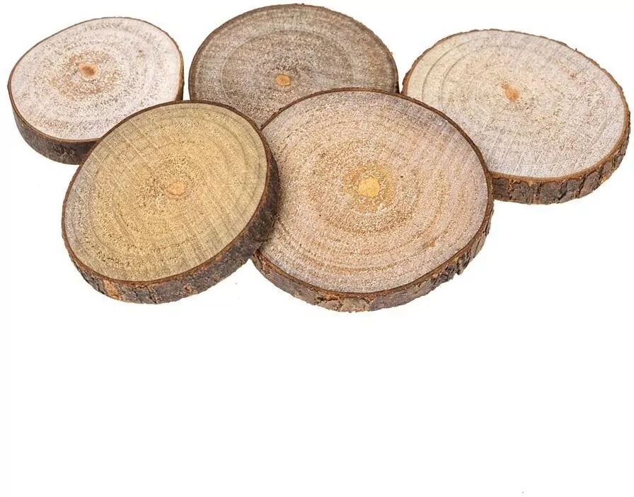 Plastry drewna 4-6cm - tantis.pl