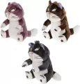 Maskotka Kot z czupryną 25cm mix ROZETTE - tantis.pl