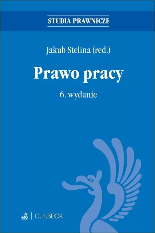 Prawo pracy. 6.wydanie - tantis.pl