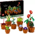 LEGO® Icons. Małe roślinki 10329 - tantis.pl
