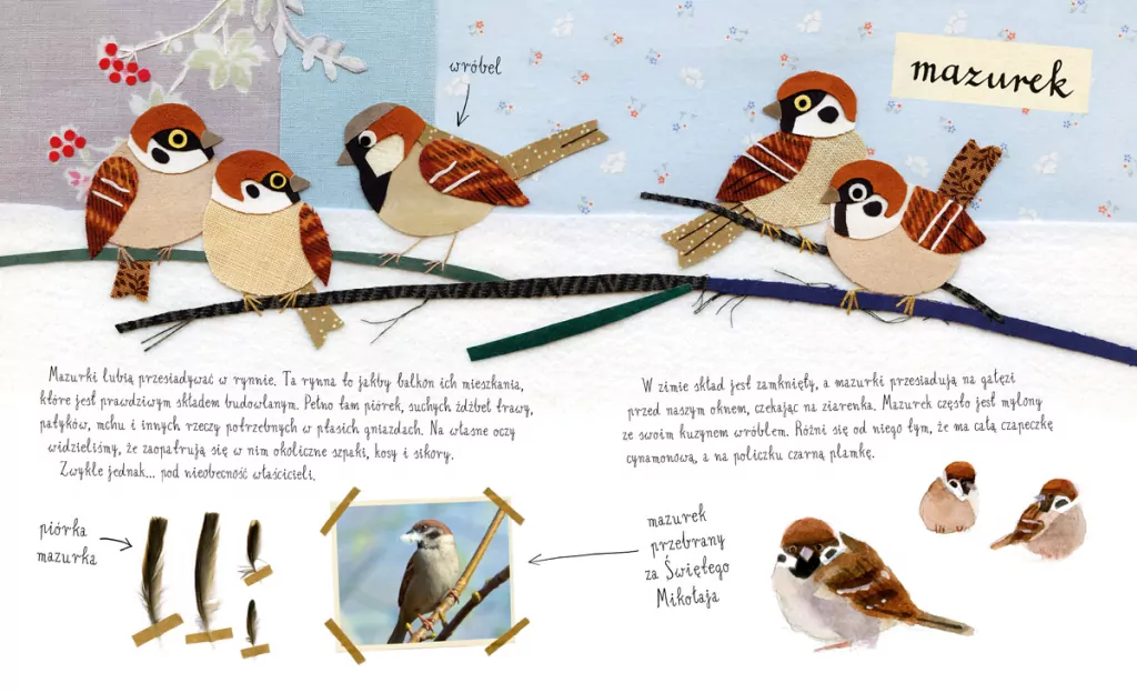 Mały atlas ptaków Ewy i Pawła Pawlaków - tantis.pl